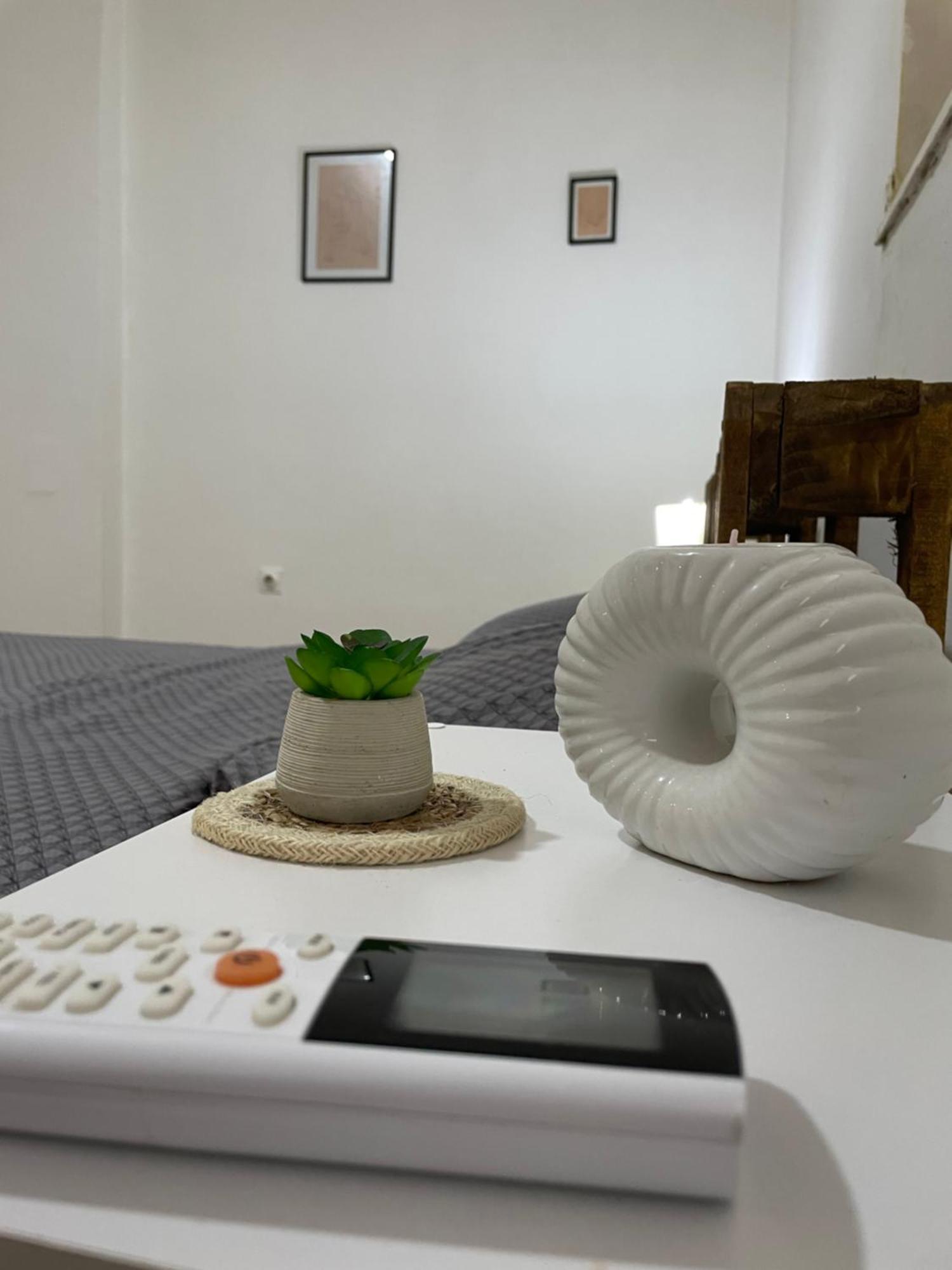 Fenix Apartman II Zaječar Esterno foto