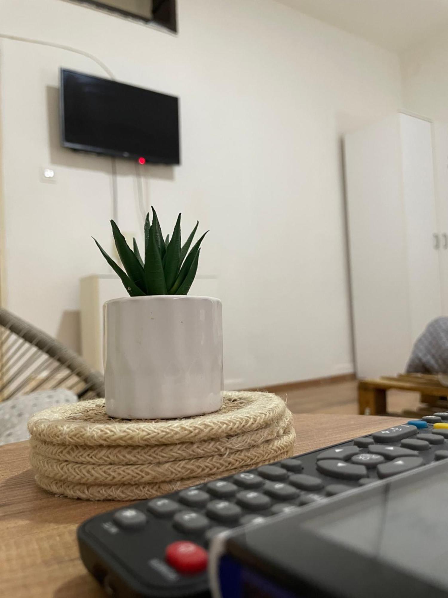 Fenix Apartman II Zaječar Esterno foto