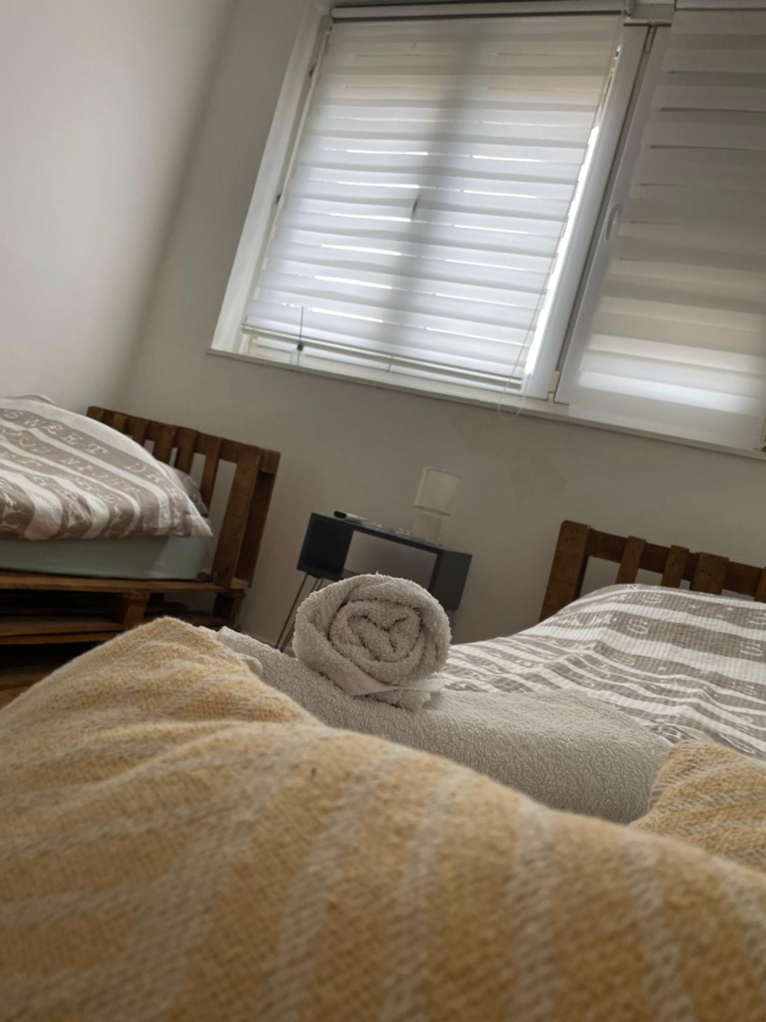 Fenix Apartman II Zaječar Esterno foto